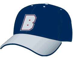 Navy Bulldogs Hat